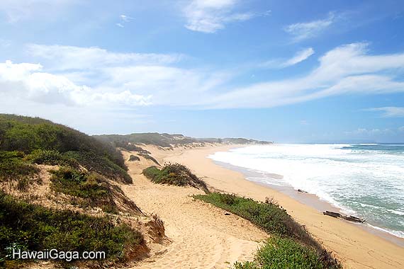 Polihale State Park