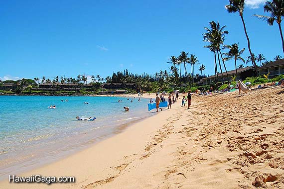 Napili Bay